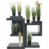 EUROPALMS tekovehnä alkukesä, 60cm 82505866