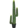 EUROPALMS meksikolainen kaktus tekokasvi, vihreä, 117 cm 82801071