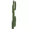EUROPALMS meksikolainen kaktus tekokasvi, vihreä, 123 cm 82801072
