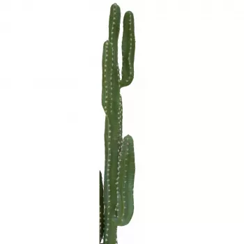EUROPALMS meksikolainen kaktus tekokasvi, vihreä, 123 cm 82801072