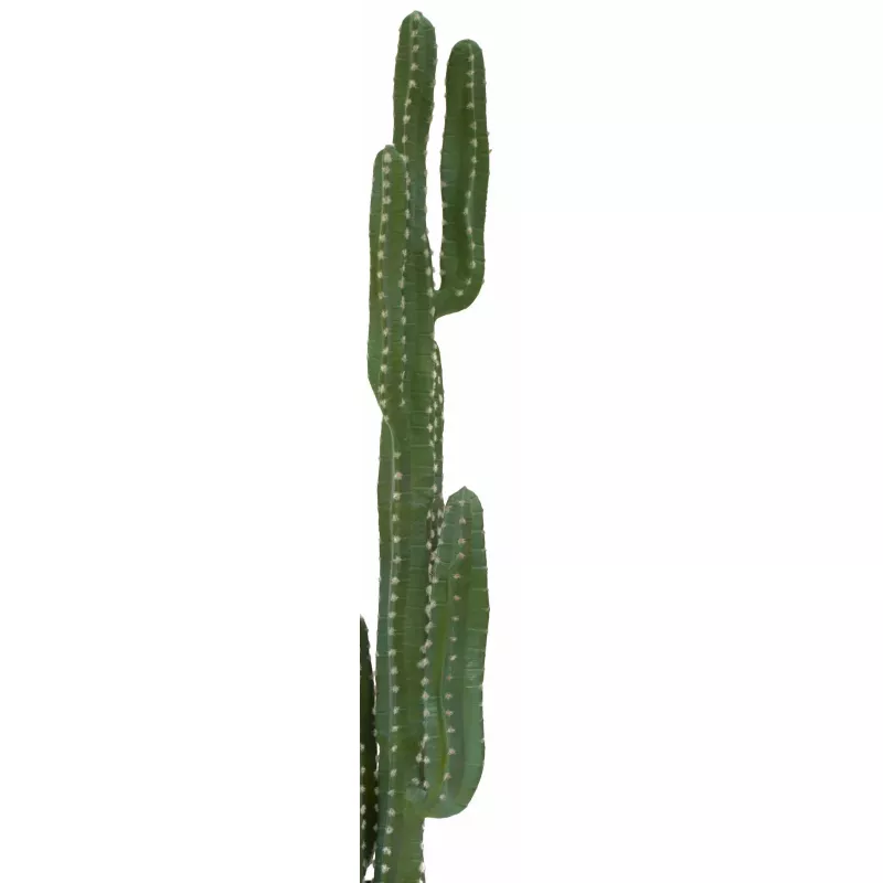 EUROPALMS meksikolainen kaktus tekokasvi, vihreä, 123 cm 82801072