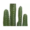 EUROPALMS meksikolainen kaktus tekokasvi, vihreä, 123 cm 82801072