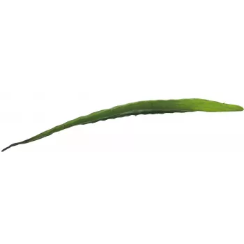 EUROPALMS tekolehti aloe (EVA), vihreä, 60 cm 82530581