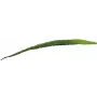 EUROPALMS tekolehti aloe (EVA), vihreä, 60 cm 82530581