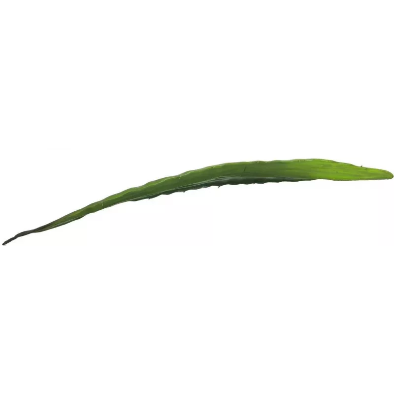 EUROPALMS tekolehti aloe (EVA), vihreä, 60 cm 82530581