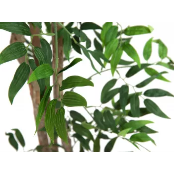 EUROPALMS Ficus Longifolia tekokasvi, 165 cm 82506350