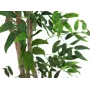 EUROPALMS Ficus Longifolia tekokasvi, 165 cm 82506350