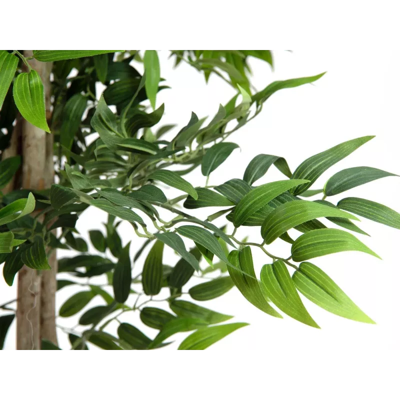 EUROPALMS Ficus Longifolia tekokasvi, 165 cm 82506350