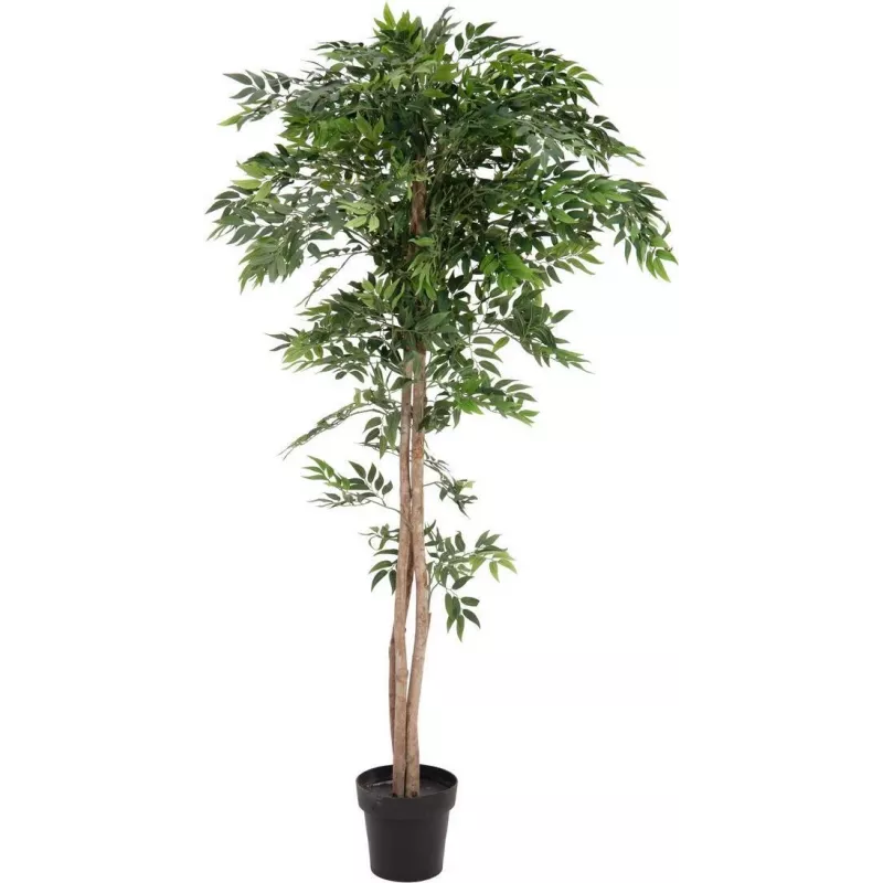 EUROPALMS Ficus Longifolia tekokasvi, 165 cm 82506350