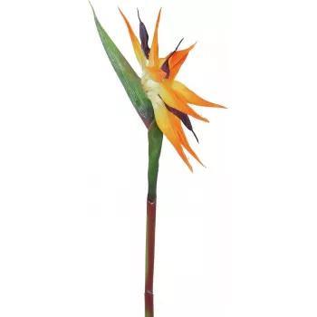 EUROPALMS tekoparatiisilintu, oranssi, 95 cm 82530559