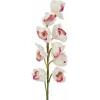 EUROPALMS Cymbidium-oksa, teko, valkoinen-vaaleanpunainen, 90 cm 82530312