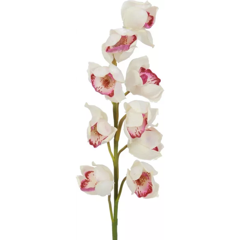 EUROPALMS Cymbidium-oksa, teko, valkoinen-vaaleanpunainen, 90 cm 82530312