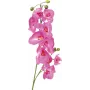 EUROPALMS tekorkideaoksa, violetti, 100 cm 82530322