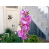 EUROPALMS tekorkideaoksa, violetti, 100 cm 82530322