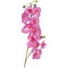 EUROPALMS tekorkideaoksa, violetti, 100 cm 82530322