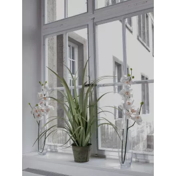 EUROPALMS tekorkideaoksa, kermanvalkoinen, 100 cm (82530323)