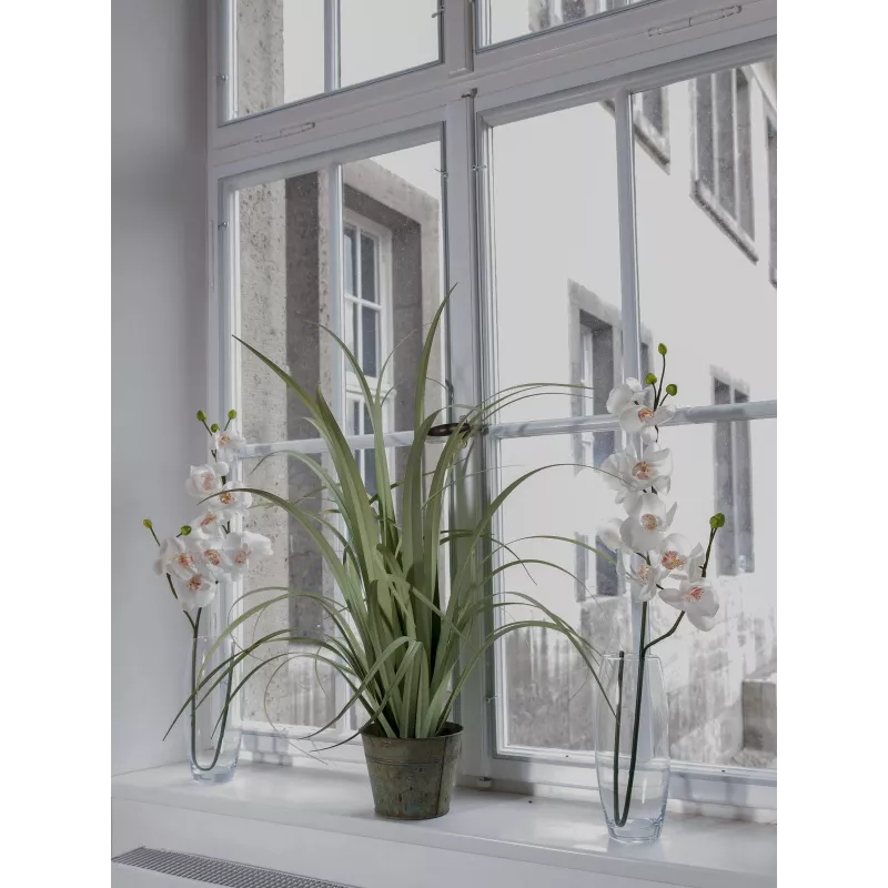 EUROPALMS tekorkideaoksa, kermanvalkoinen, 100 cm (82530323)