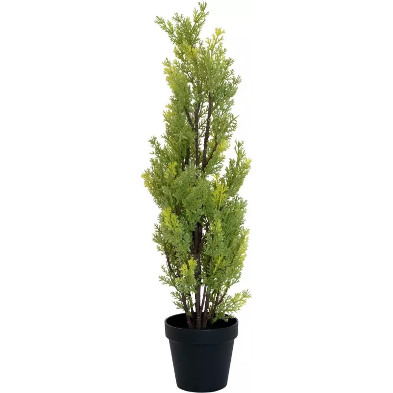 EUROPALMS Leyland-sypressi tekokasvi, 60 cm 82606959