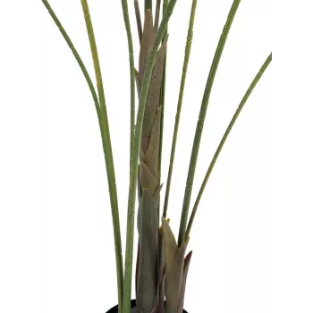 EUROPALMS isolehtinen areca tekokasvi arecapalmu, 185 cm (82509442)