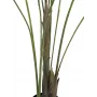EUROPALMS isolehtinen areca tekokasvi arecapalmu, 185 cm (82509442)