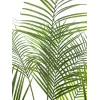 EUROPALMS isolehtinen areca tekokasvi arecapalmu, 185 cm (82509442)