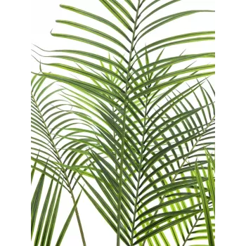 EUROPALMS isolehtinen areca tekokasvi arecapalmu, 185 cm (82509442)