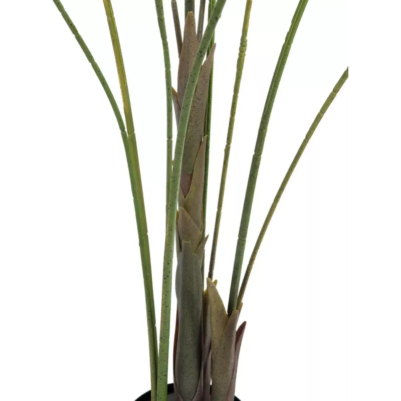 EUROPALMS isolehtinen areca tekokasvi arecapalmu, 185 cm (82509442)