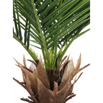 EUROPALMS Phoenix Palm Deluxe tekokasvi 220 cm 82509722