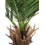 EUROPALMS Phoenix Palm Deluxe tekokasvi 220 cm 82509722