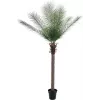 EUROPALMS Phoenix Palm Deluxe tekokasvi 220 cm 82509722