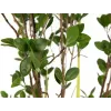 EUROPALMS ainavihreä pensas ruoho tekokasvi, 120 cm 82600183