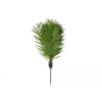 EUROPALMS Phoenix Palm Luxor tekokasvi, 210 cm 82510721