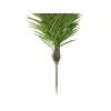 EUROPALMS Phoenix Palm Luxor tekokasvi, 210 cm 82510721