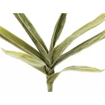 EUROPALMS keinotekoinen jukkaoksa (EVA), vihreä 82531063