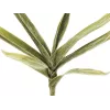 EUROPALMS keinotekoinen jukkaoksa (EVA), vihreä 82531063