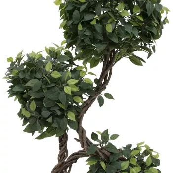 EUROPALMS Ficus Multi Spiral Trunk tekokasvi, 160 cm 82501563