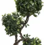 EUROPALMS Ficus Multi Spiral Trunk tekokasvi, 160 cm 82501563