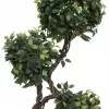 EUROPALMS Ficus Multi Spiral Trunk tekokasvi, 160 cm 82501563