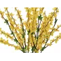 EUROPALMS tekokultapensas, 60cm 82505629