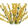 EUROPALMS tekokultapensas, 60cm 82505629