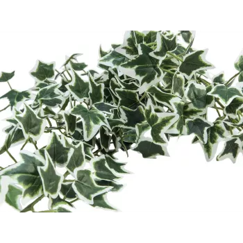 EUROPALMS Holland Ivy Bush Screen Classic, teko, 100 cm 82502212