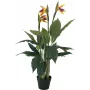 EUROPALMS Strelitzia tekokasvi, 90 cm 82540502
