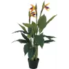 EUROPALMS Strelitzia tekokasvi, 90 cm 82540502