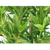 EUROPALMS Bambus deluxe, tekokasvi, 150cm 82509166