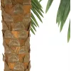 EUROPALMS Phoenix Palm Deluxe tekokasvi, 250cm 82509724