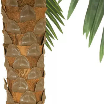 EUROPALMS Phoenix Palm Deluxe tekokasvi, 250cm 82509724