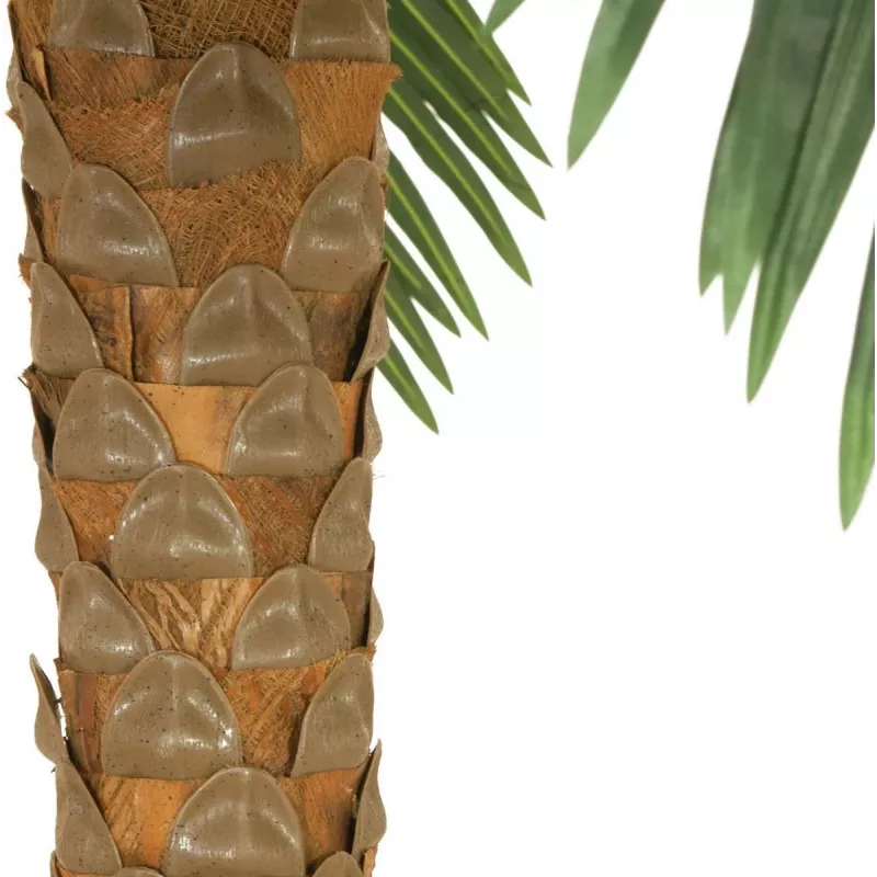 EUROPALMS Phoenix Palm Deluxe tekokasvi, 250cm 82509724
