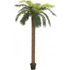 EUROPALMS Phoenix Palm Deluxe tekokasvi, 250cm 82509724