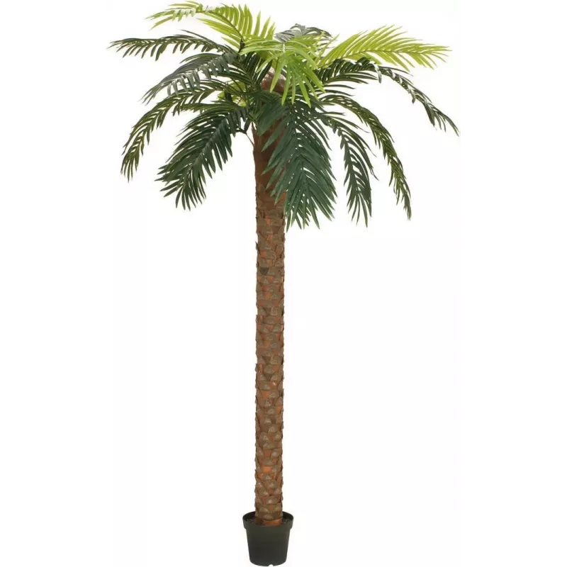 EUROPALMS Phoenix Palm Deluxe tekokasvi, 250cm 82509724