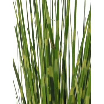 EUROPALMS seepraheinä, teko, 90cm 82505863